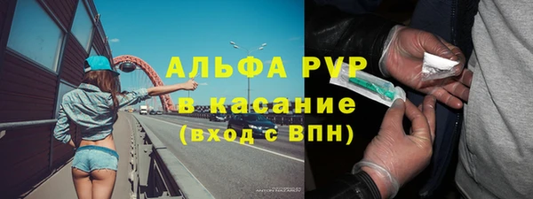 прущие грибы Пересвет