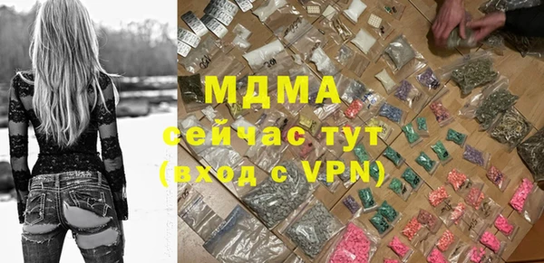 индика Дмитровск