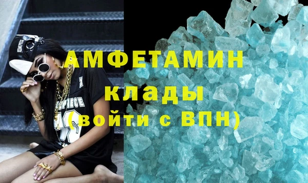 прущие грибы Пересвет