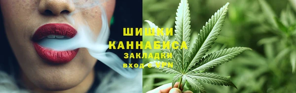прущие грибы Пересвет
