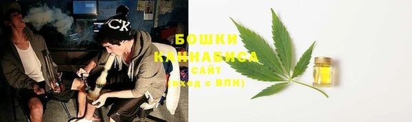 трава Переславль-Залесский