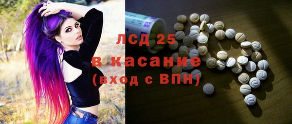 прущие грибы Пересвет