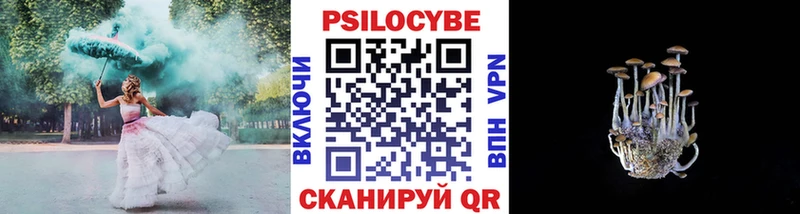 Галлюциногенные грибы MAGIC MUSHROOMS  купить закладку  KRAKEN сайт  Красный Холм 
